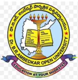 BRAOU Capstone Project