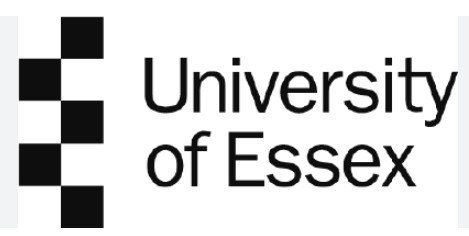 University of Essex Online Capstone Project Help – MBA & MSc Support