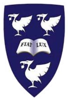 Capstone Project Support for University of Liverpool