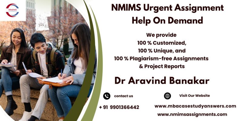 Premium quality NMIMS assignment support