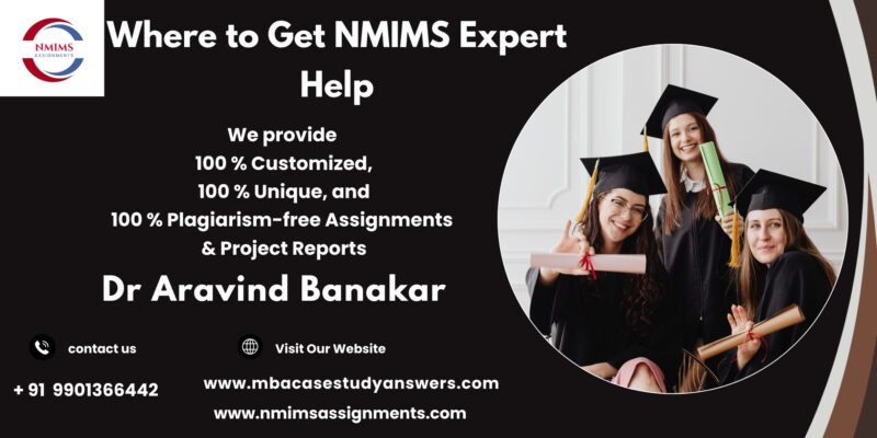 NMIMS Assignment Expert in Lucknow